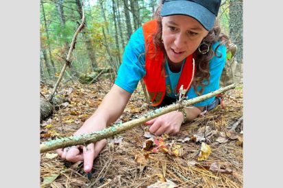 Thomas inspects Tolypocladium paradoxum, a fungal parasite of cicada nymphs. 