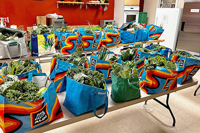 About 35 food backs being packed.