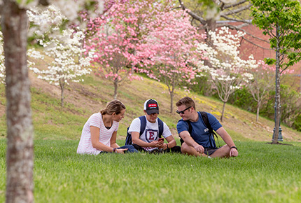 students sitting in grass