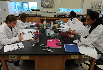 Students working in a lab