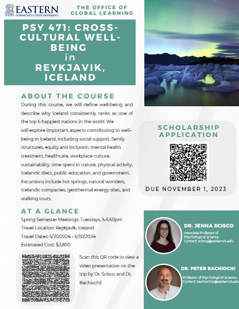 flyer for PSY 471 Iceland