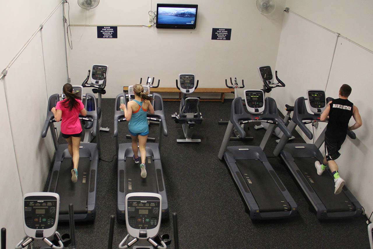students using treadmills